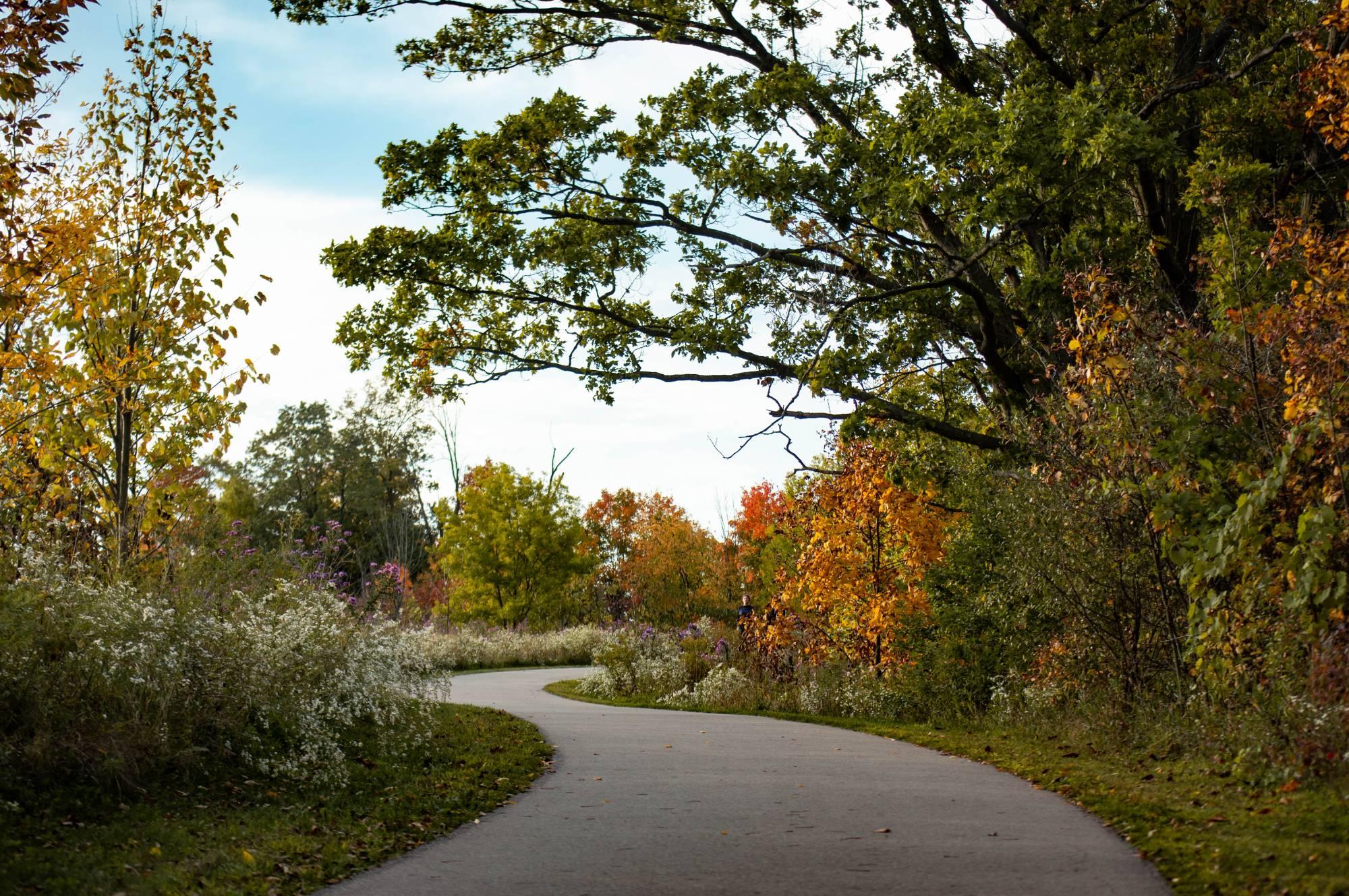 Grand River Park